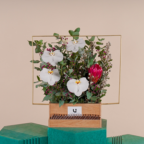 Kai - This wooden basket contains queen protea, orchid petals, wax flower and eucalyptus with Belgian chocolates. Height: 51 cm - Width: 51 cm