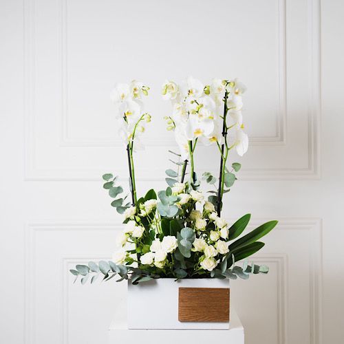 White Orchid - Wooden Vase arranged with beautiful white orchid.     Height: 65 cm – Width: 30cm