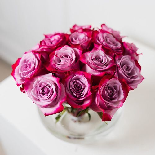 Pink Roses - A glass vase that contains pink roses.   Hight:    Width: