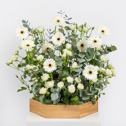 White Tray I - This White Tray contain with our beautiful Gerbera Flower and baby roses.