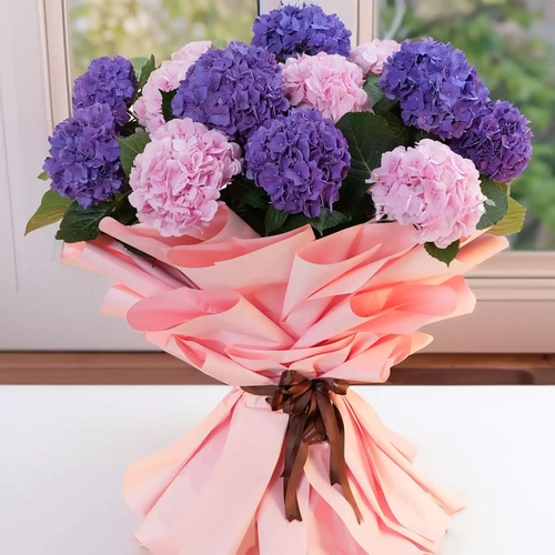 هايدنجا ميكس