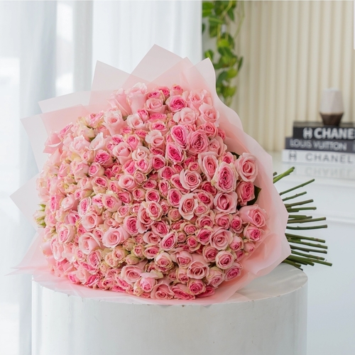 بيبي جورى ٥٠ حبه