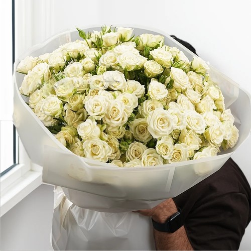 بيبي روز ٢٠ حبه