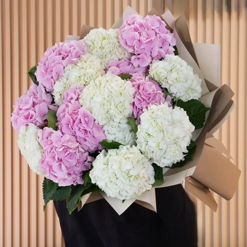 هايدرنجا ابيض مع وردى ١٥ حبه