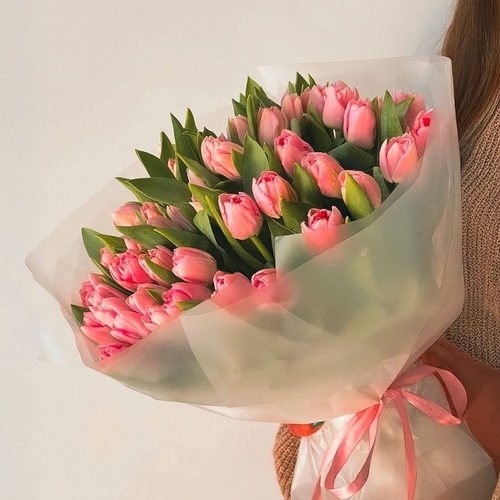 توليب وردى ٥٠