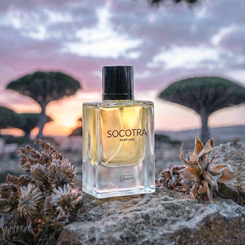 SOCOTRA - سقطرى (50ml)