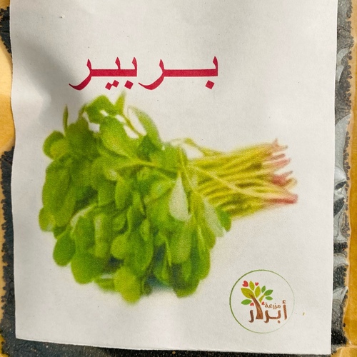 بذور بربير