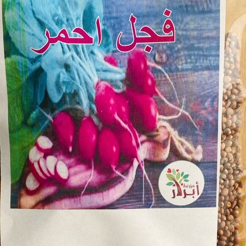 بذور فجل احمر