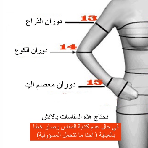 سادة T