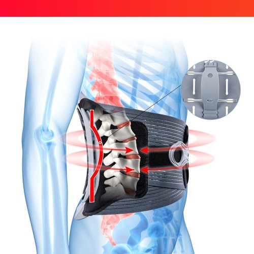 Back support belt