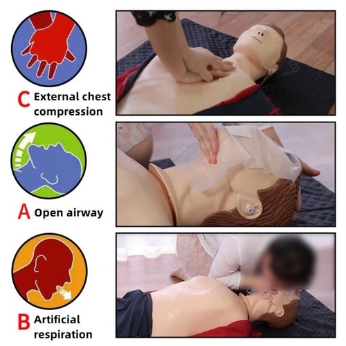 First Aid Training Model
