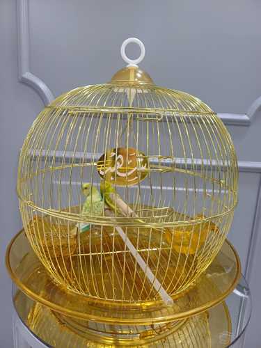 bird cage with name - Please write the name in the notes.