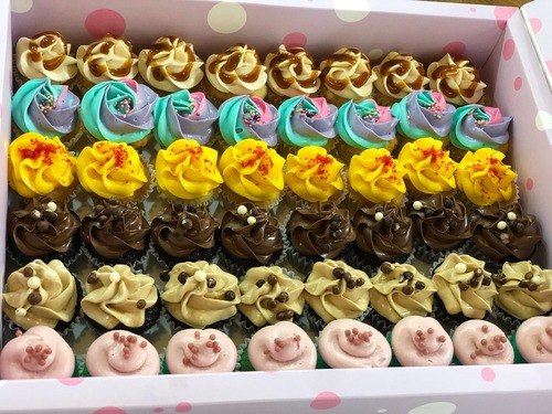 mix box - mini cupcakes