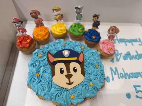 paw patrol
