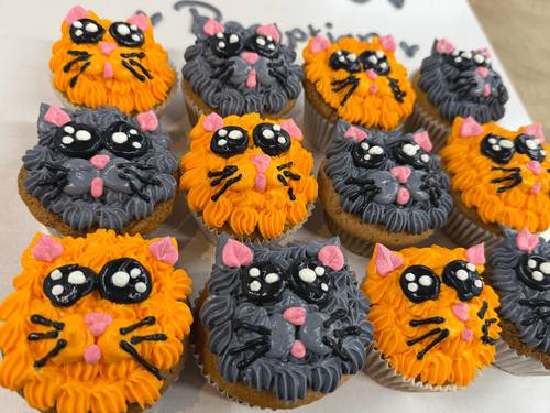cats