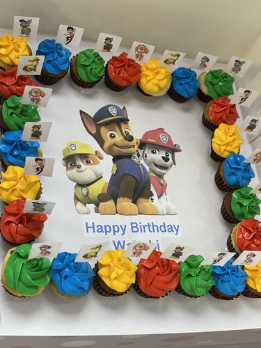 Paw patrol