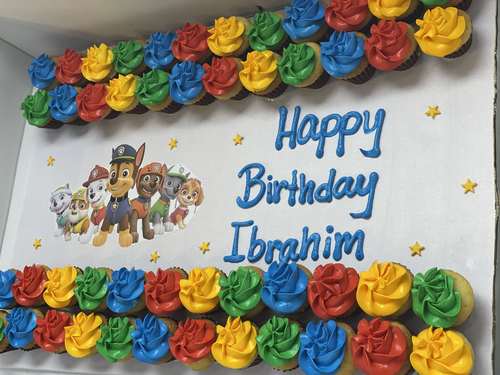 4 Dozens paw patrol