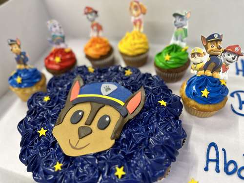 paw patrol