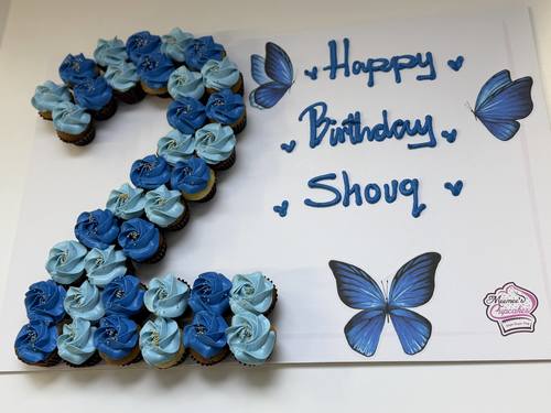 blue butterflies number