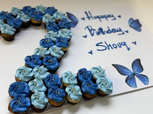 blue butterflies number