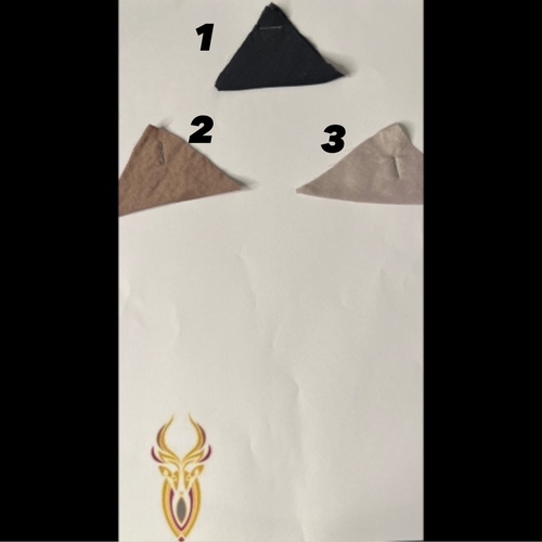 MT21