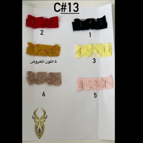 C13