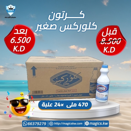 كرتون كلوركس - كلوركس ٤٧٠ ملى ×٢٤ غلبة