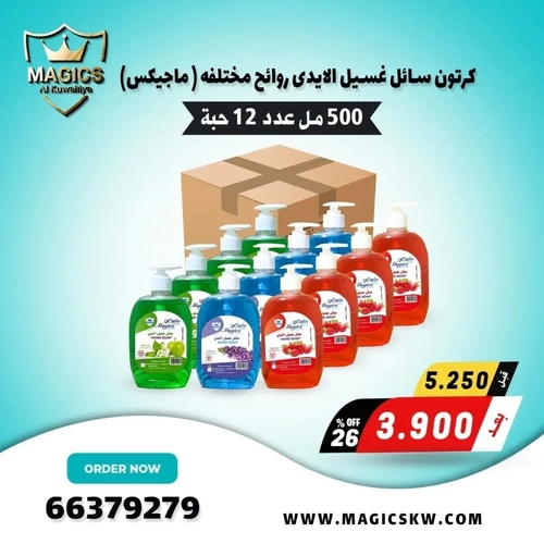 كرتون سائل لغسيل الايدى - سائل غسيل ايدى ٥٠٠ ملى × ٢٤ حبة