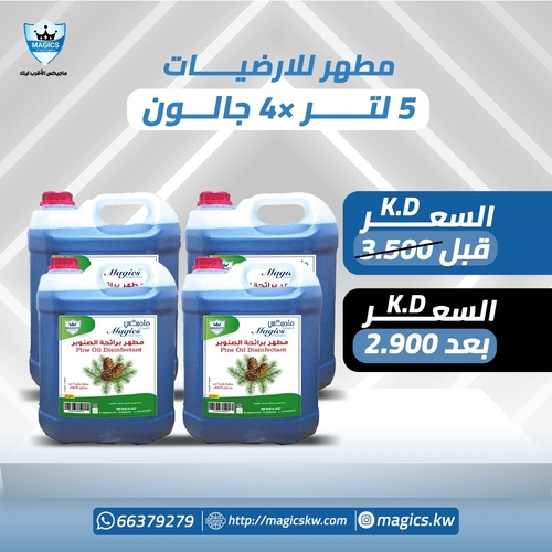 مطهر ارضيات - مطهر ارضيات