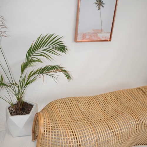 Casa Palma - Croco Bench - 180x40x60