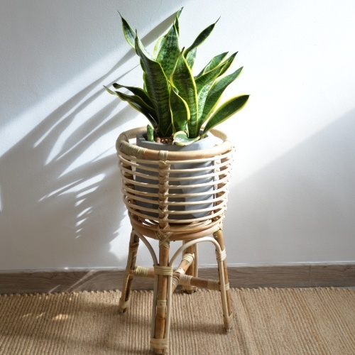 Casa Palma - Stripe Pot