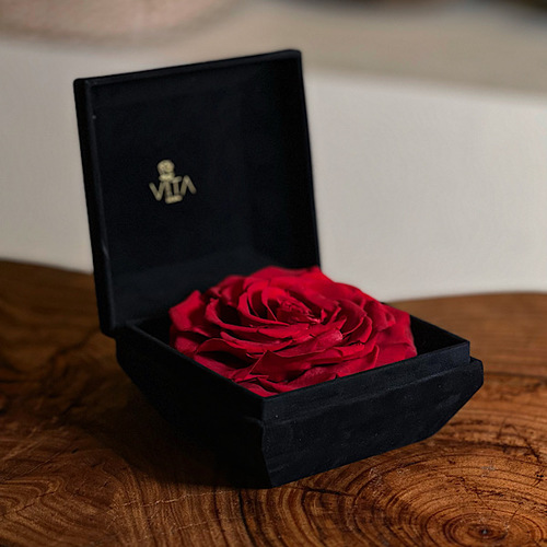 Sounds - Black velvet box with preserved flowers red color  H : 12 W :  12