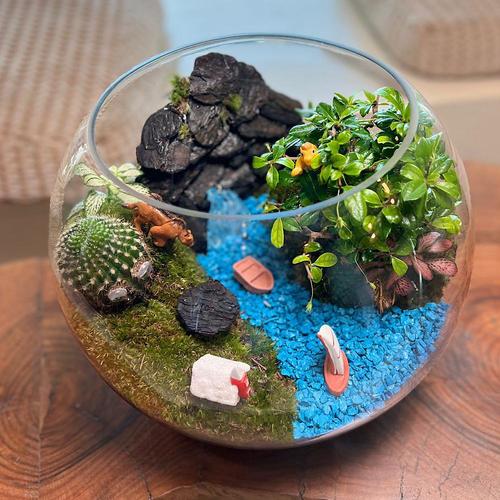 Blue heaven - Mini garden contains petonia and cactus plants with middle blue stone with small toys h 25 w 20