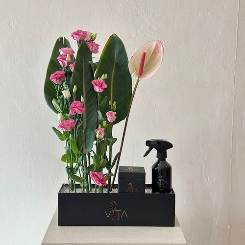 Rondo - A black box contains pink anthurium, purple astoma , green leaves spray perfume with a box of chocolates. 
 H : 60  W : 40