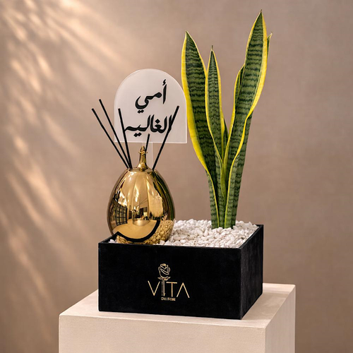 Mom Love - A box contains snake plant, a 250ml diffuser with a 