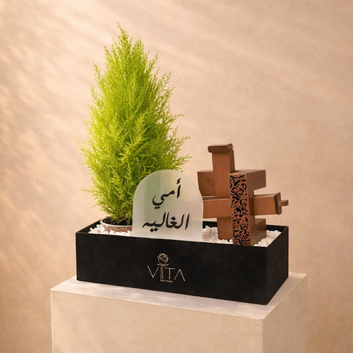 Green Box - A box featuring gold crest plant, containing mubkhar and charcoal handle with an empty box and a topper. Height: 50 Width: 40