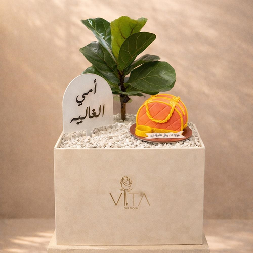 Sweet Harmony - A box featuring rubber plant with a cake. Height: 50 cm Width: 40 cm