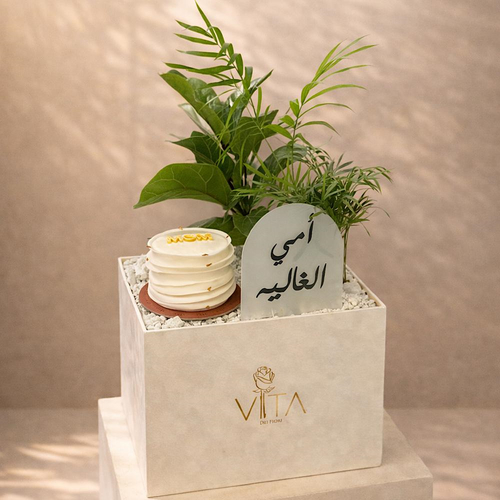 Forever Mom - A box featuring rubber plant Parlor palm with a cake. Height: 50 cm Width: 40 cm