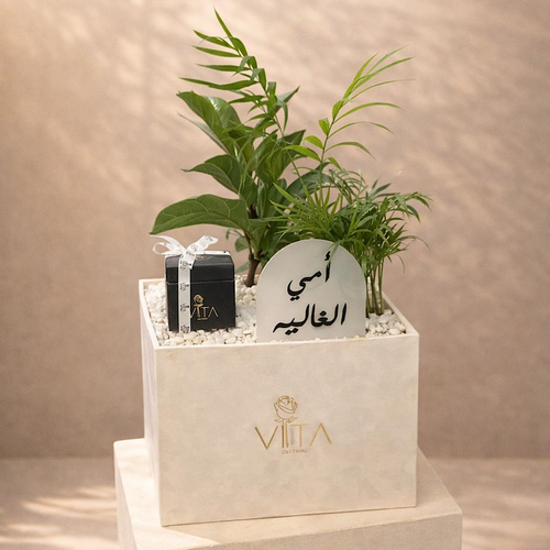Ivy - A box contains palm with chocolates and a topper. Height: 50 Width: 20