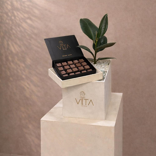 Sylvara - A box featuring rubber plant with a chocolate Height: 50 Width: 20