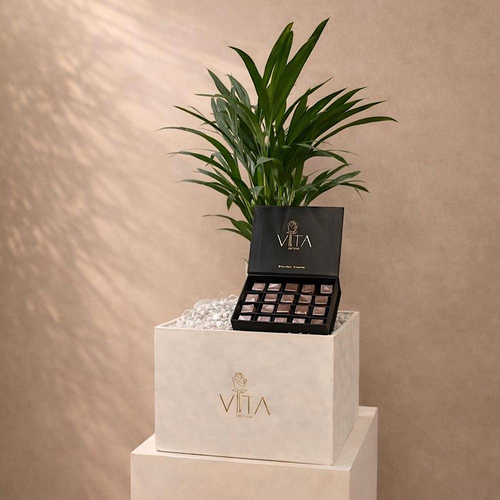Breeze - A box featuring butterfly palm, with a chocolate Height: 50 cm Width: 40 cm