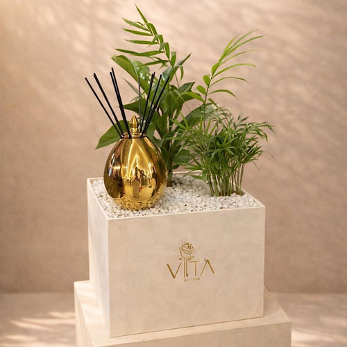 Greenie - A box containing a rubber plant and parlor palm with a 250ml diffuser and a Scandal perfume oil, arranged beautifully. Height: 50 cm Width: 40 cm