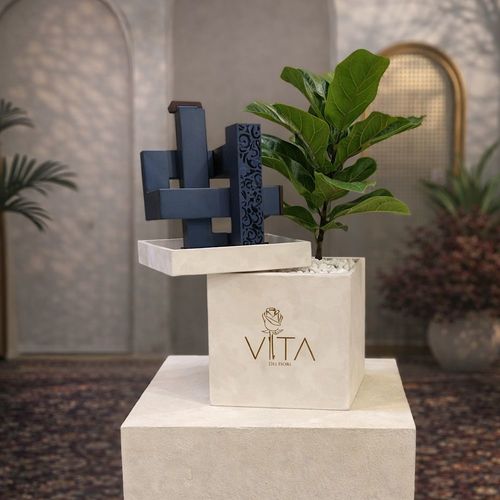 Green Box - A box containing a fiddle leaf fig plant, an with an empty space down to place the bakour and charcoal. Height: 50 Width: 20