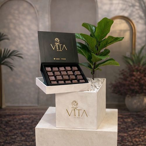 Piece of nature - A box featuring a fiddle leaf fig plant with a box of chocolates. Height: 50 Width: 20