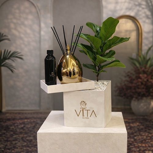Beauty Box - This white box contains a fiddle leaf fig plant, a 250ml diffuser, a 