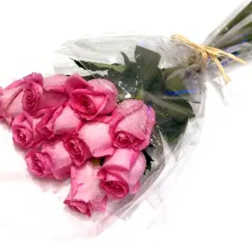 Collection Pink Gory Roses - Collection of pink gory with wrapping of cellophane