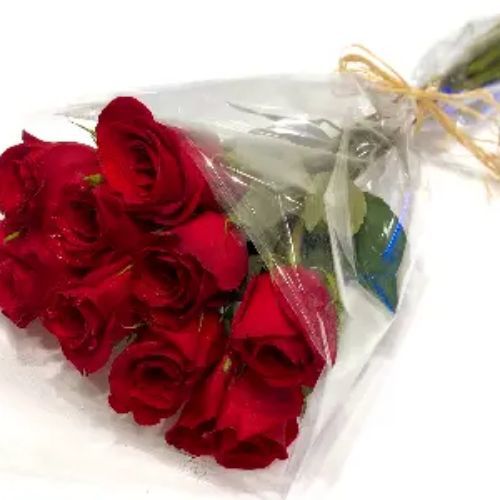 Collection Red Gory Roses - Red gory roses with wrapping of cellophane