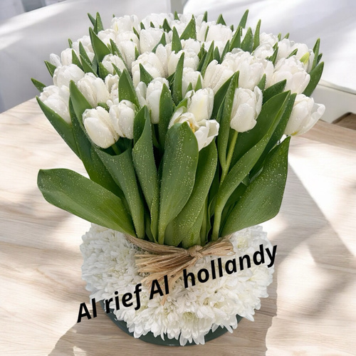 Alreif Holandi - فازه توليب ابيض - فازه زجاج مع توليب وكريز طبيعى