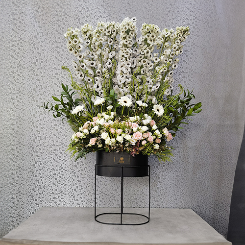 Delphinium VIP - Height: 130 cm
Width: 90 cm
This stand contains baby rose, delphinium, and gerbera flowers.