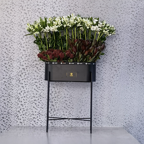 Birr - Height: 110 cm
Width: 70 cm

A stand contains alstroemeria and safari sunset and skimmia.